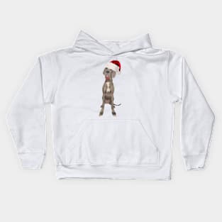 Funny Great Dane in Santa Hat Kids Hoodie